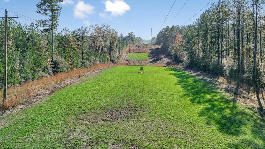 Land For Sale in Amite County, MS