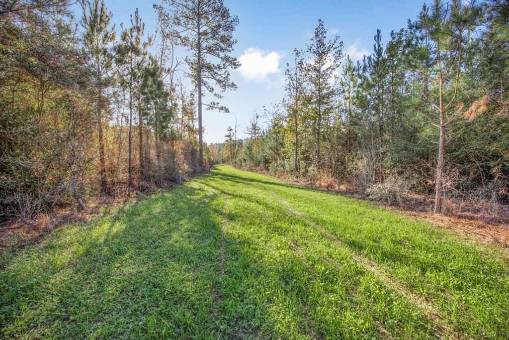 Land For Sale in Amite County, MS