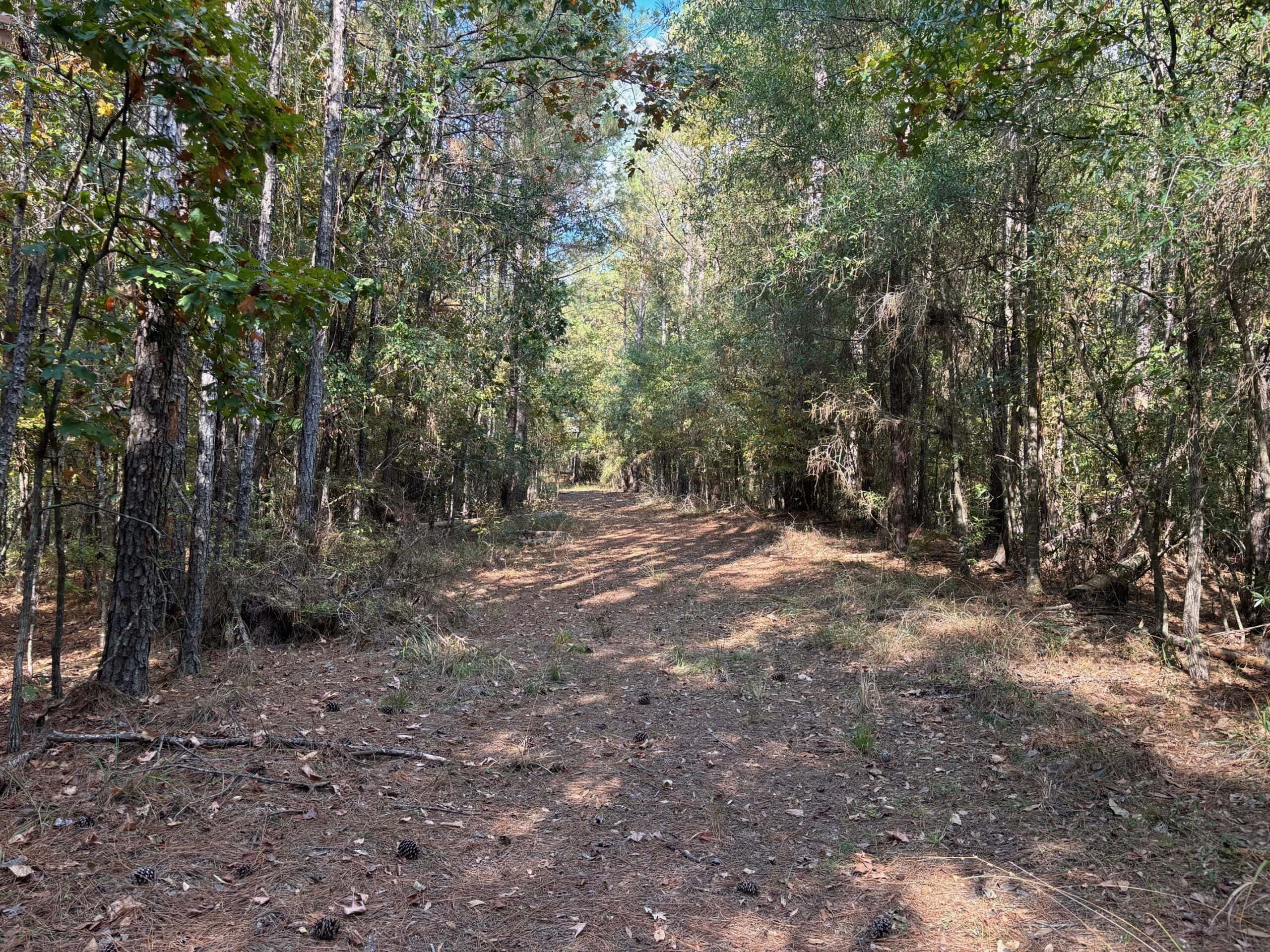 42 Acres Franklin County Hunting Land Timber Investment