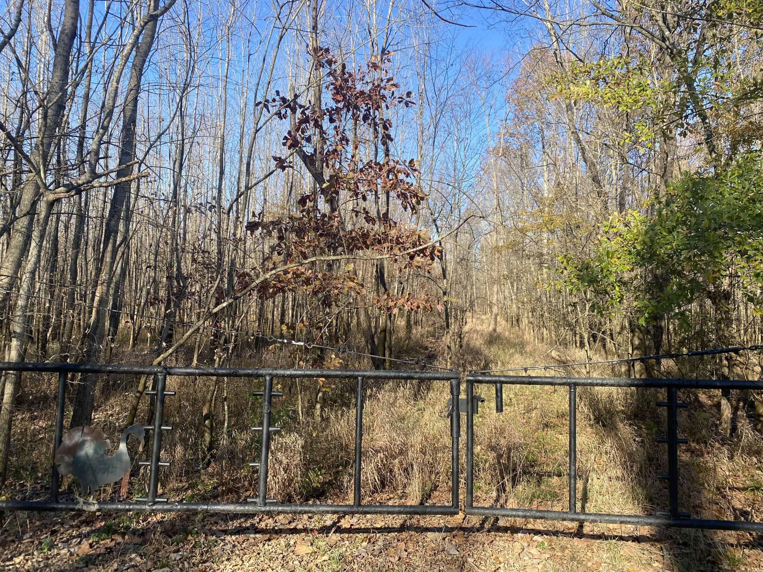 LAND FOR SALE IN TN, DEER & TURKEY HUNTING, BOTTOMLAND & UPLAND
