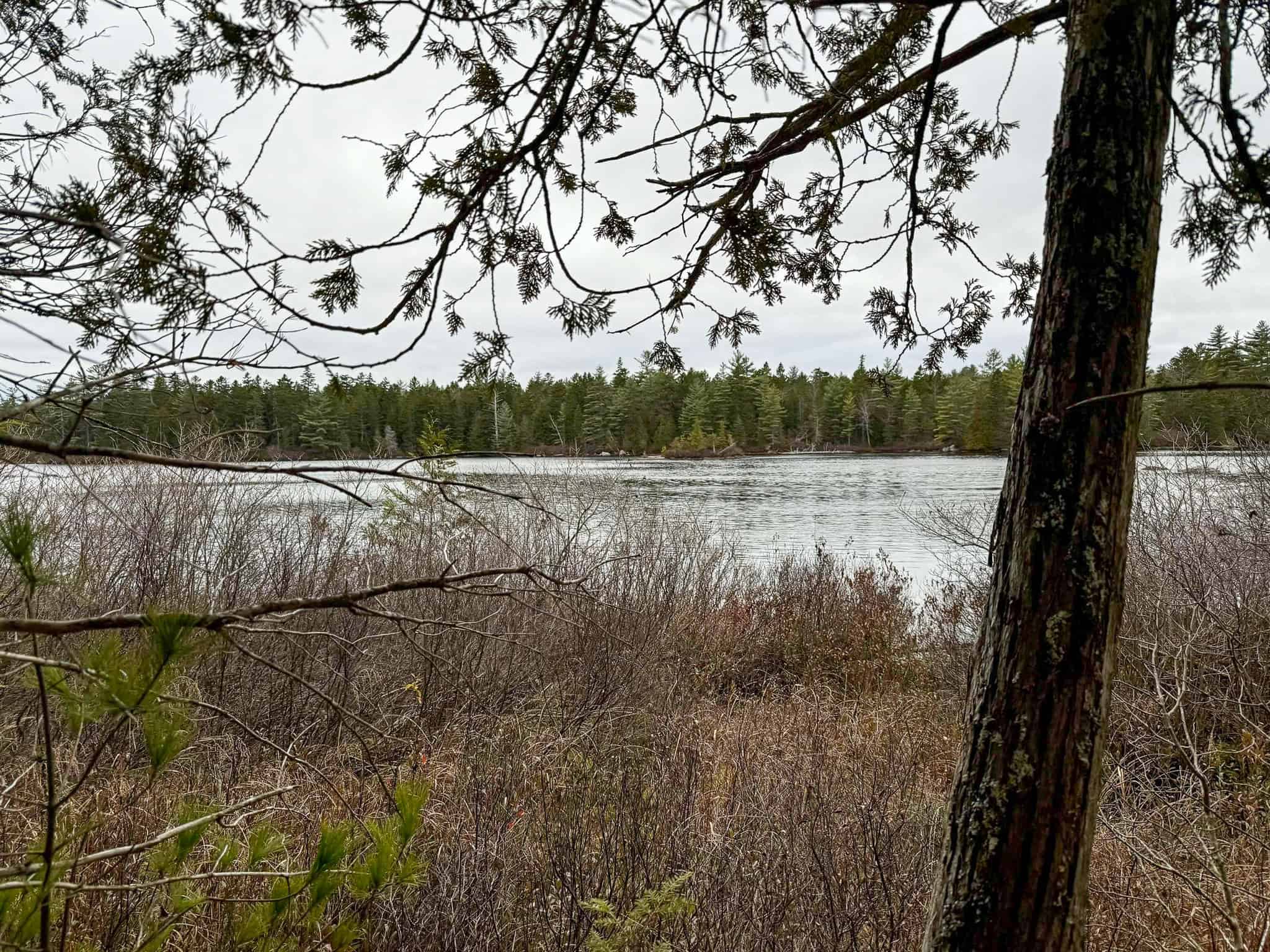 Lakefront Land with 41 Acres