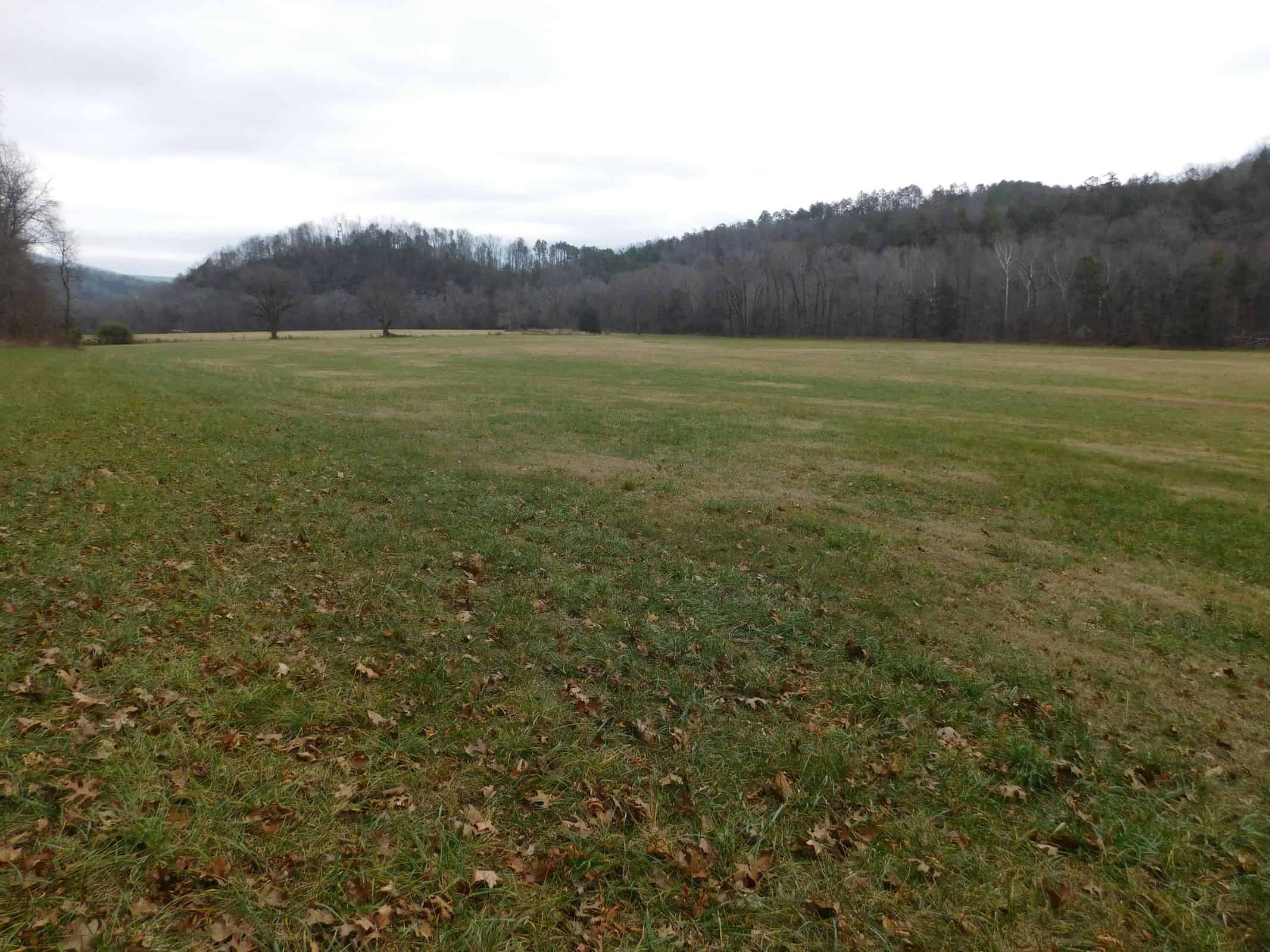 Creek Runs Through Farm Land/Deer Hunting Property in Newton County, Ar