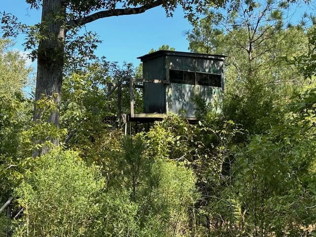145 Acres Jefferson County Hunting Land Timber Investment