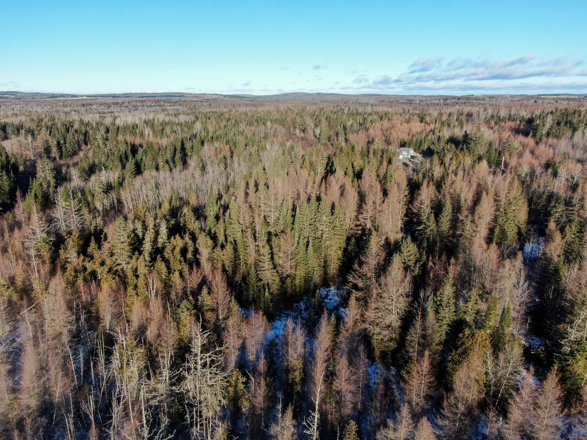 59 Acres in Northern Maine