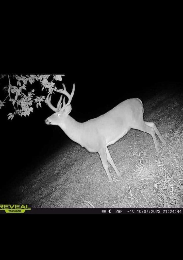 Land for sale with stream, crop ground, hunting, possible build site in WI