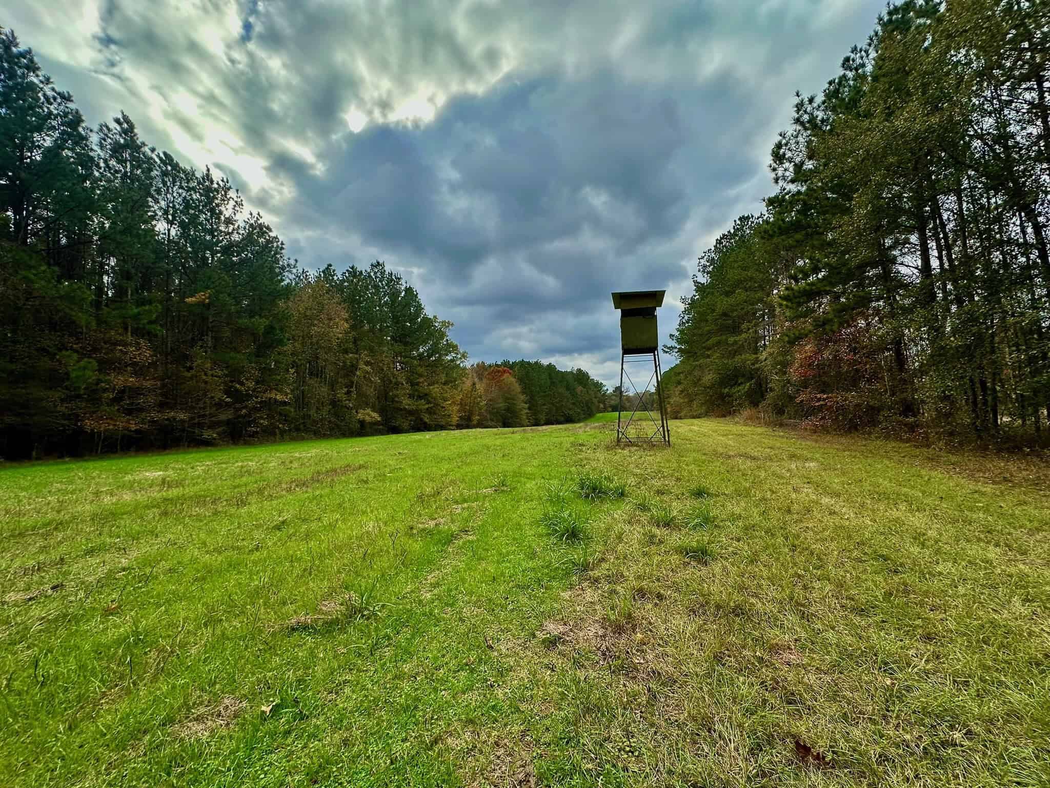 Duck and Deer Hunting Land for Sale with River Frontage