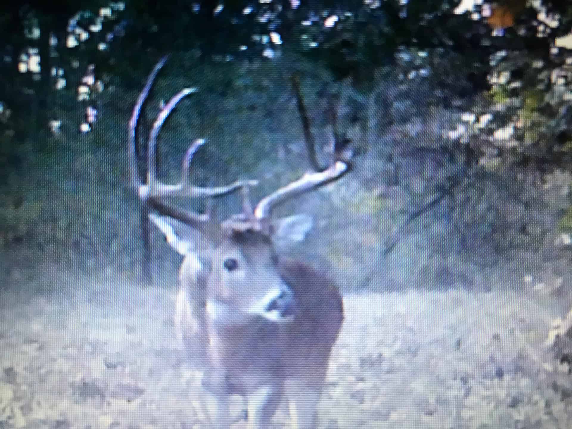 Premier Hunting & Cattle Ranch for Sale Near McAlester OK