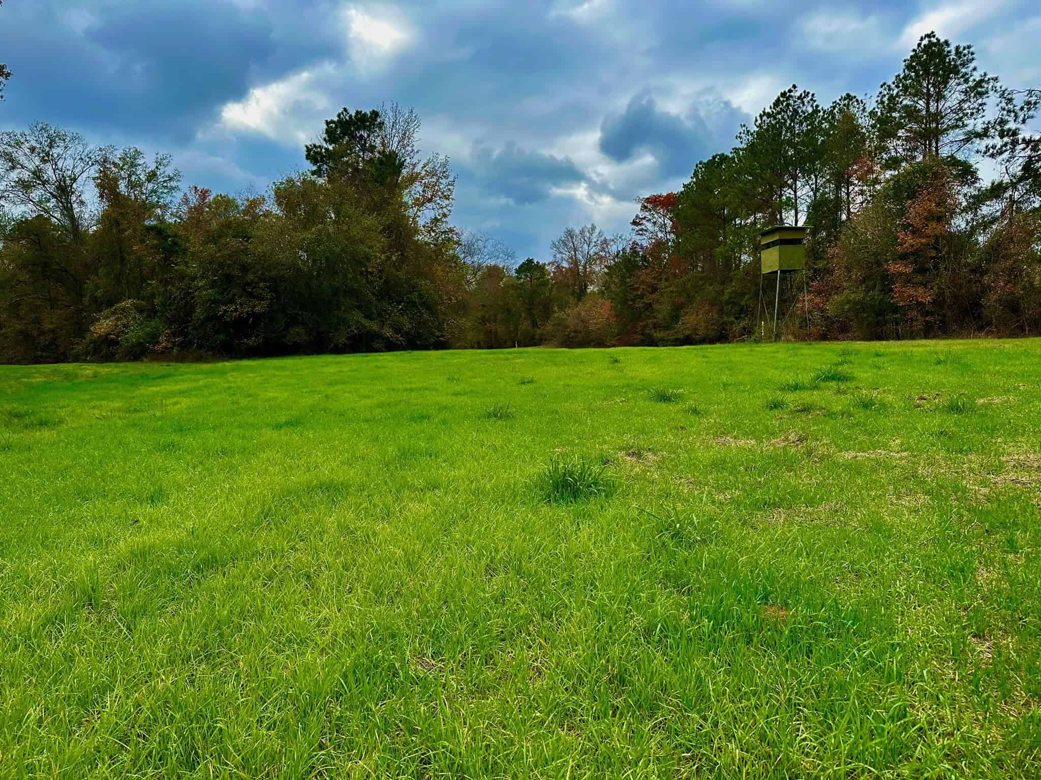Duck and Deer Hunting Land for Sale with River Frontage