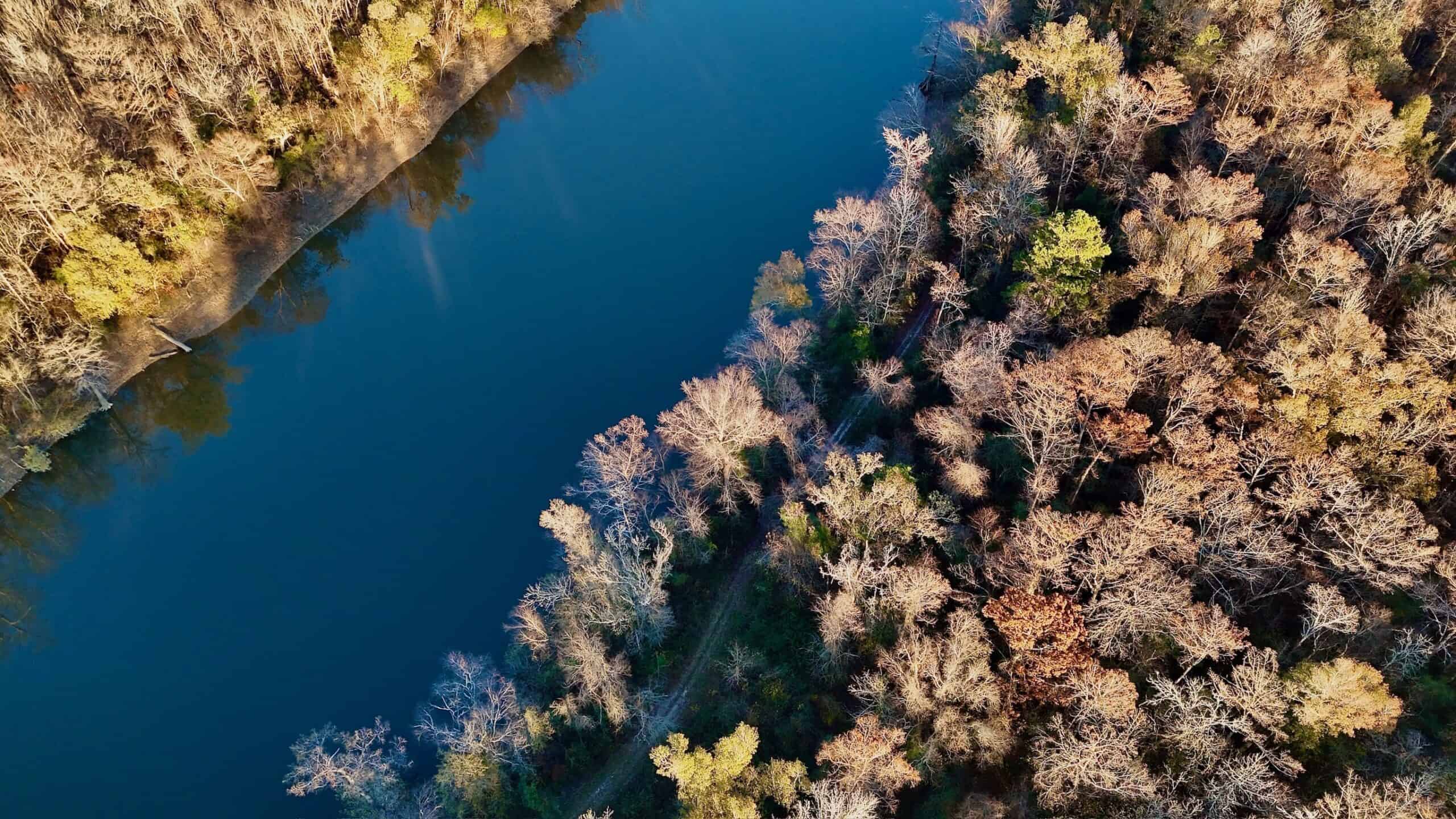 Duck and Deer Hunting Property for Sale in Grant Parish, LA