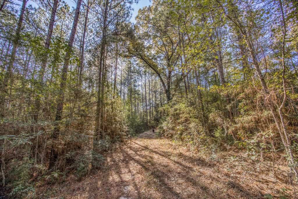 Land For Sale in Amite County, MS