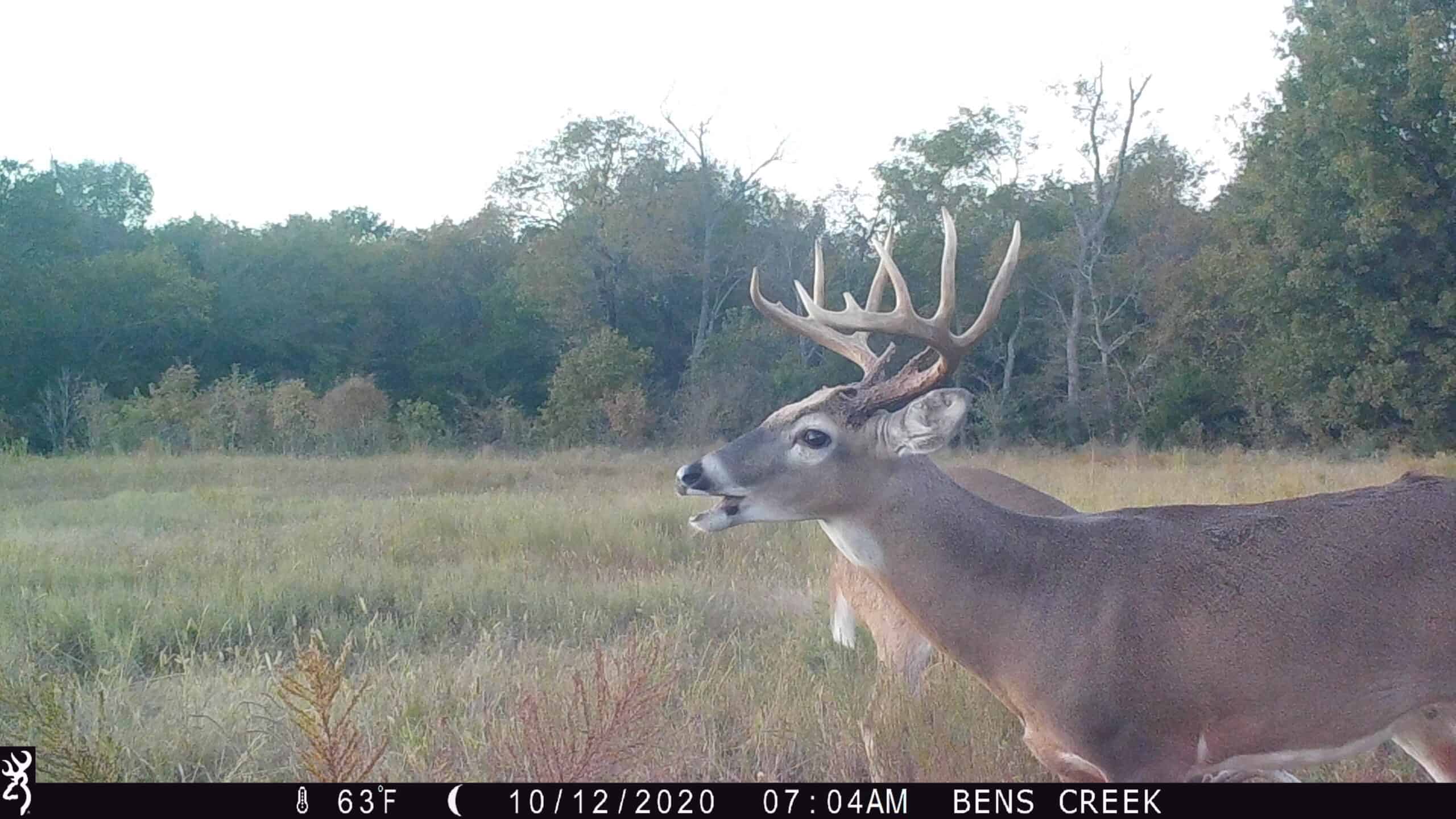 Premier Hunting & Cattle Ranch for Sale Near McAlester OK