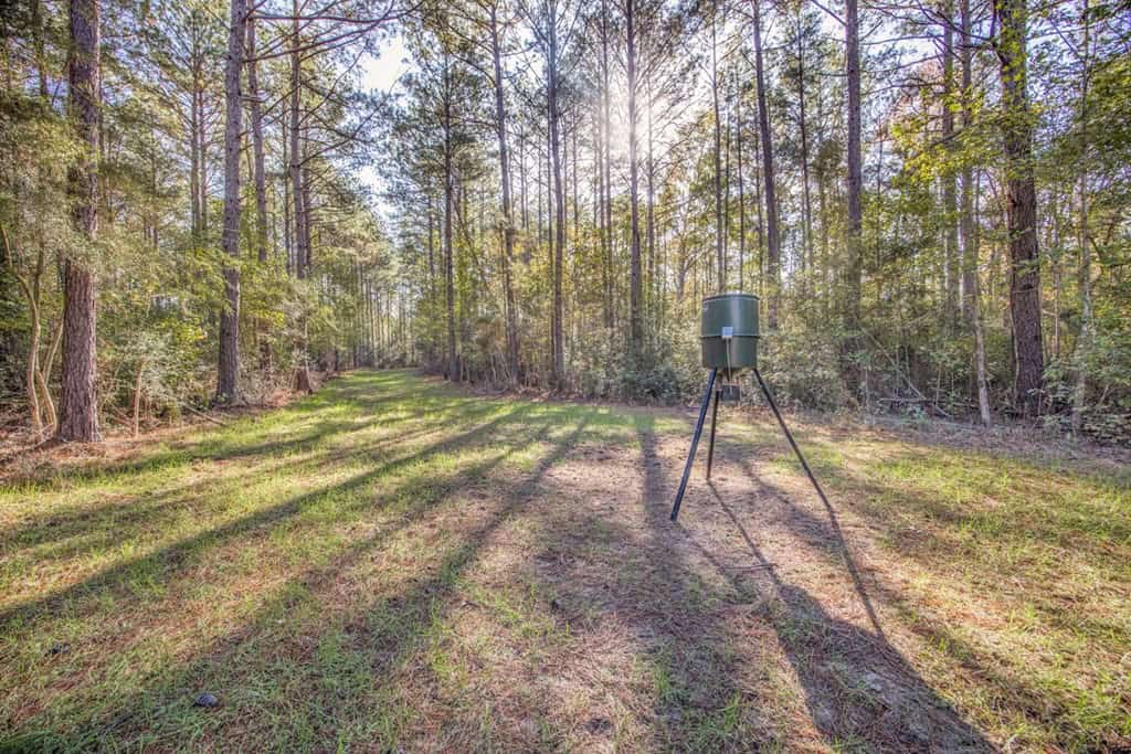 Land For Sale in Amite County, MS
