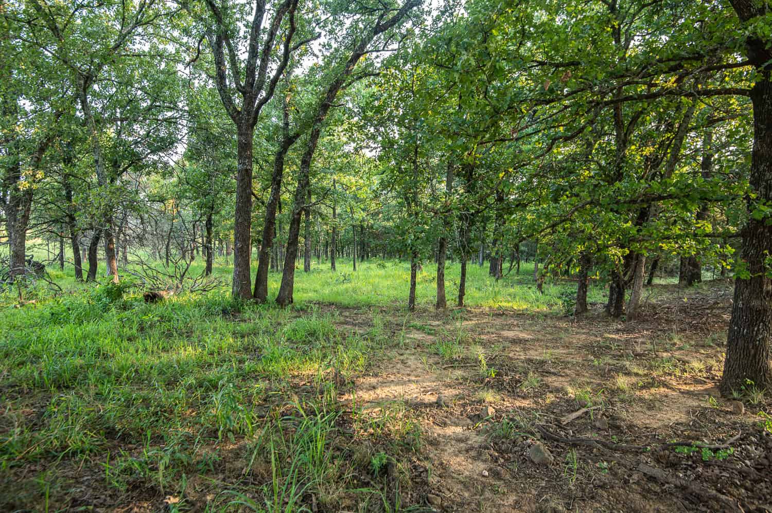 Premier Hunting & Cattle Ranch for Sale Near McAlester OK
