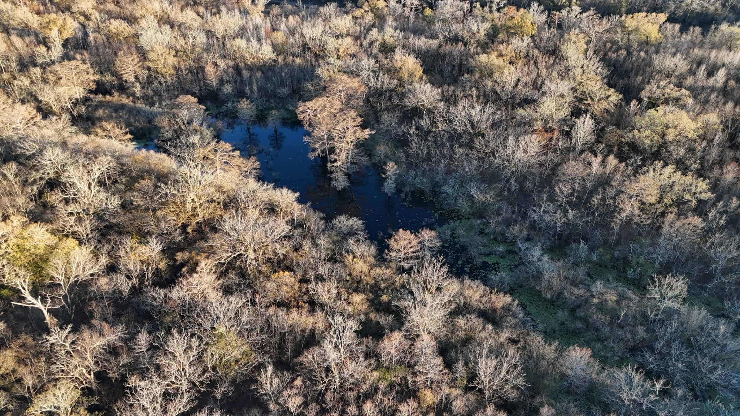 Duck and Deer Hunting Property for Sale in Grant Parish, LA