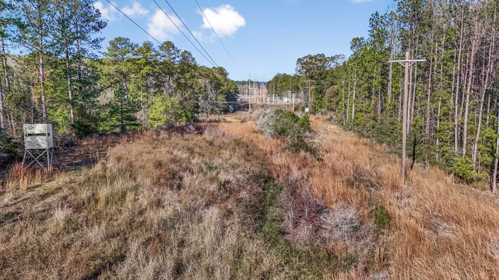 Land For Sale in Amite County, MS