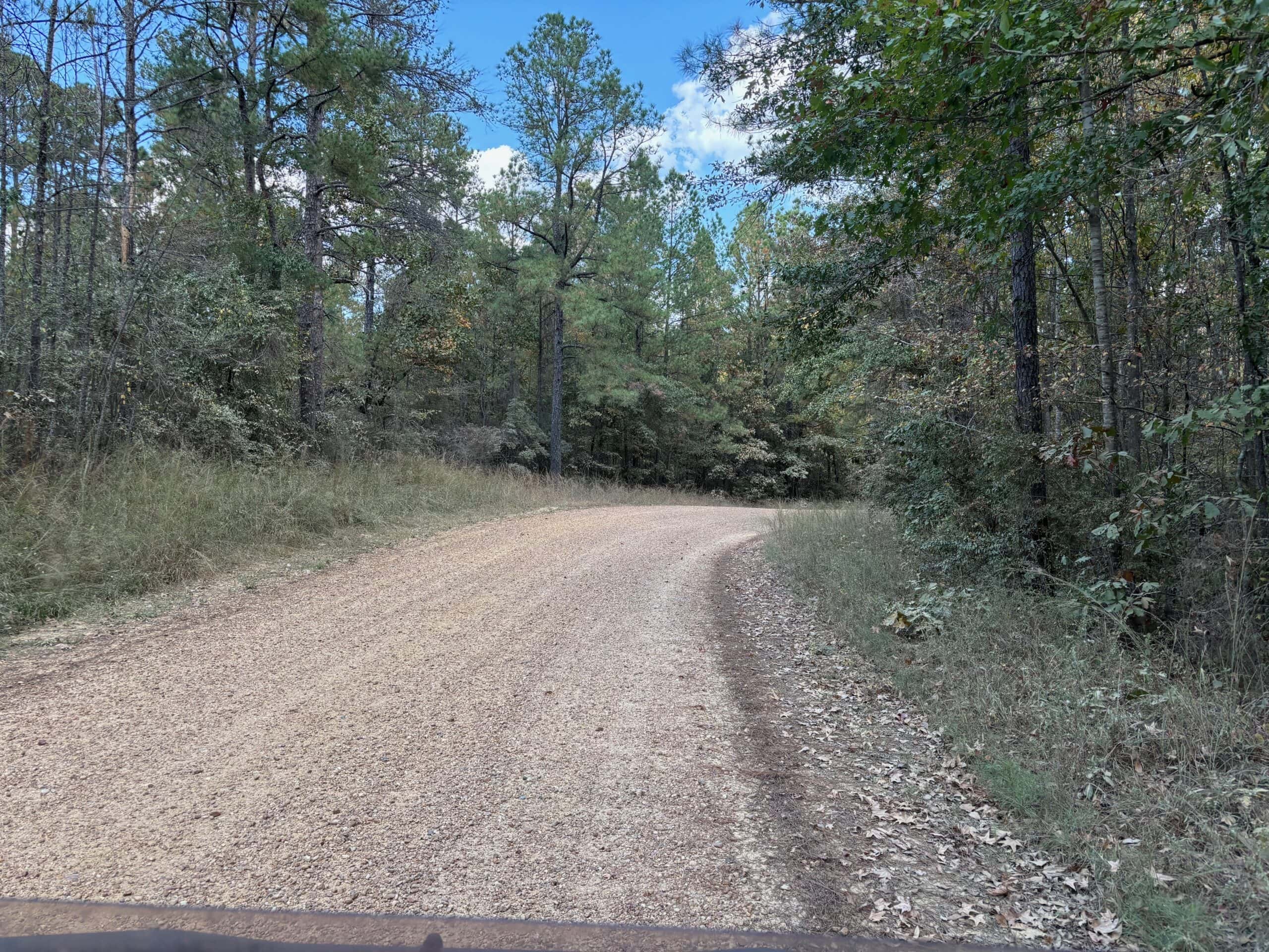 42 Acres Franklin County Hunting Land Timber Investment