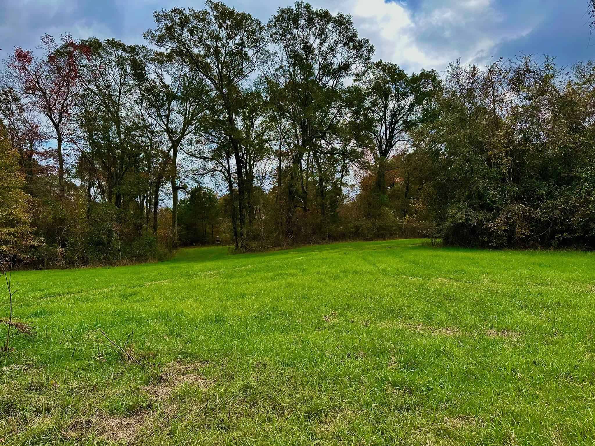 Duck and Deer Hunting Land for Sale with River Frontage