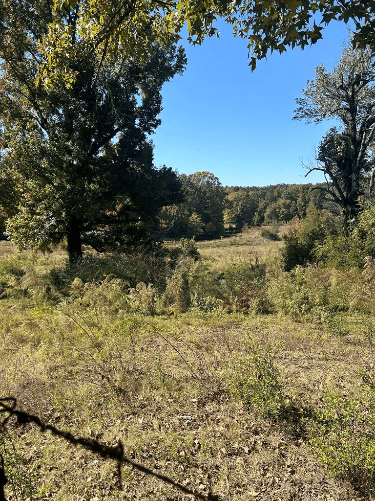 135 +/- Acres Deer Creek Road Panola County Mississippi