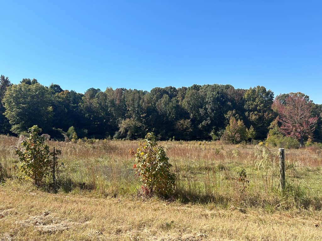 135 +/- Acres Deer Creek Road Panola County Mississippi