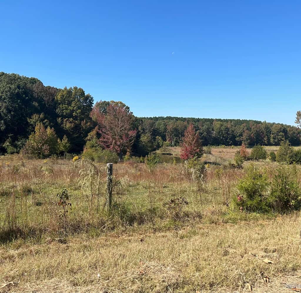 135 +/- Acres Deer Creek Road Panola County Mississippi