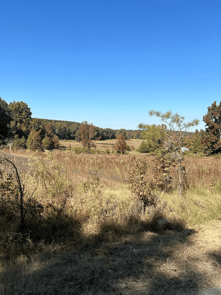 135 +/- Acres Deer Creek Road Panola County Mississippi