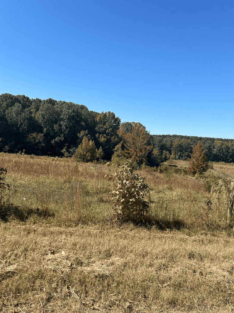 135 +/- Acres Deer Creek Road Panola County Mississippi