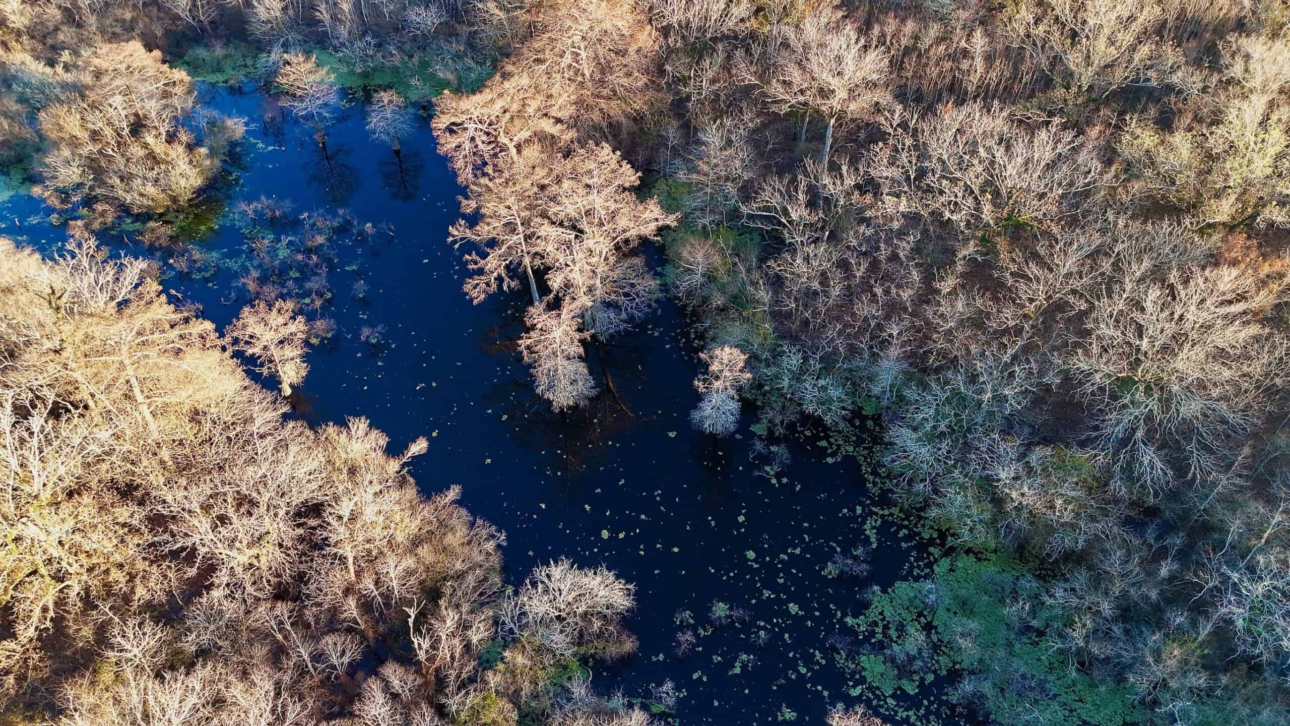 Duck and Deer Hunting Property for Sale in Grant Parish, LA