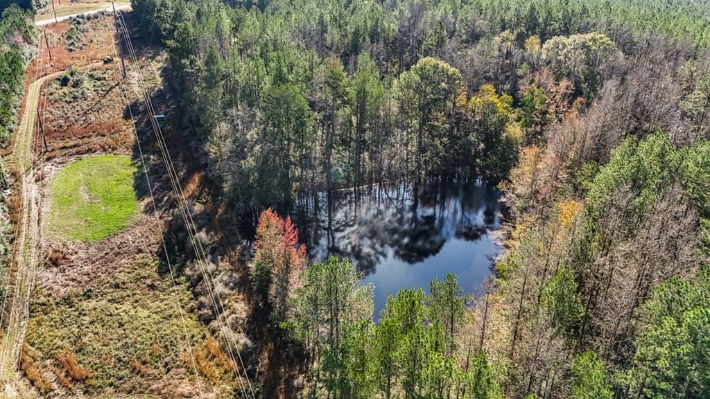 Land For Sale in Amite County, MS