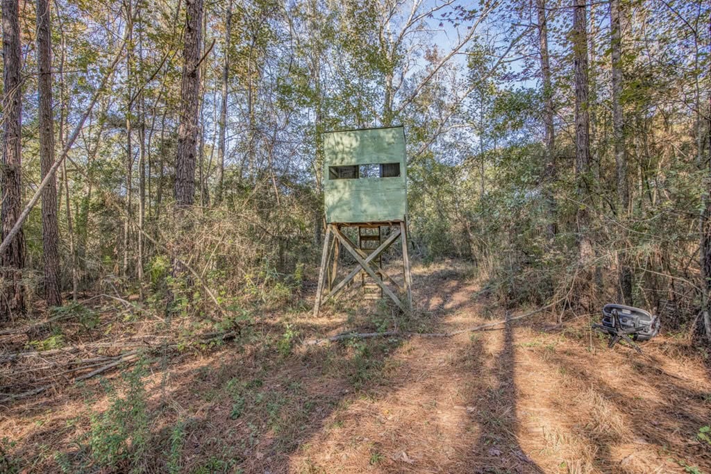 Land For Sale in Amite County, MS