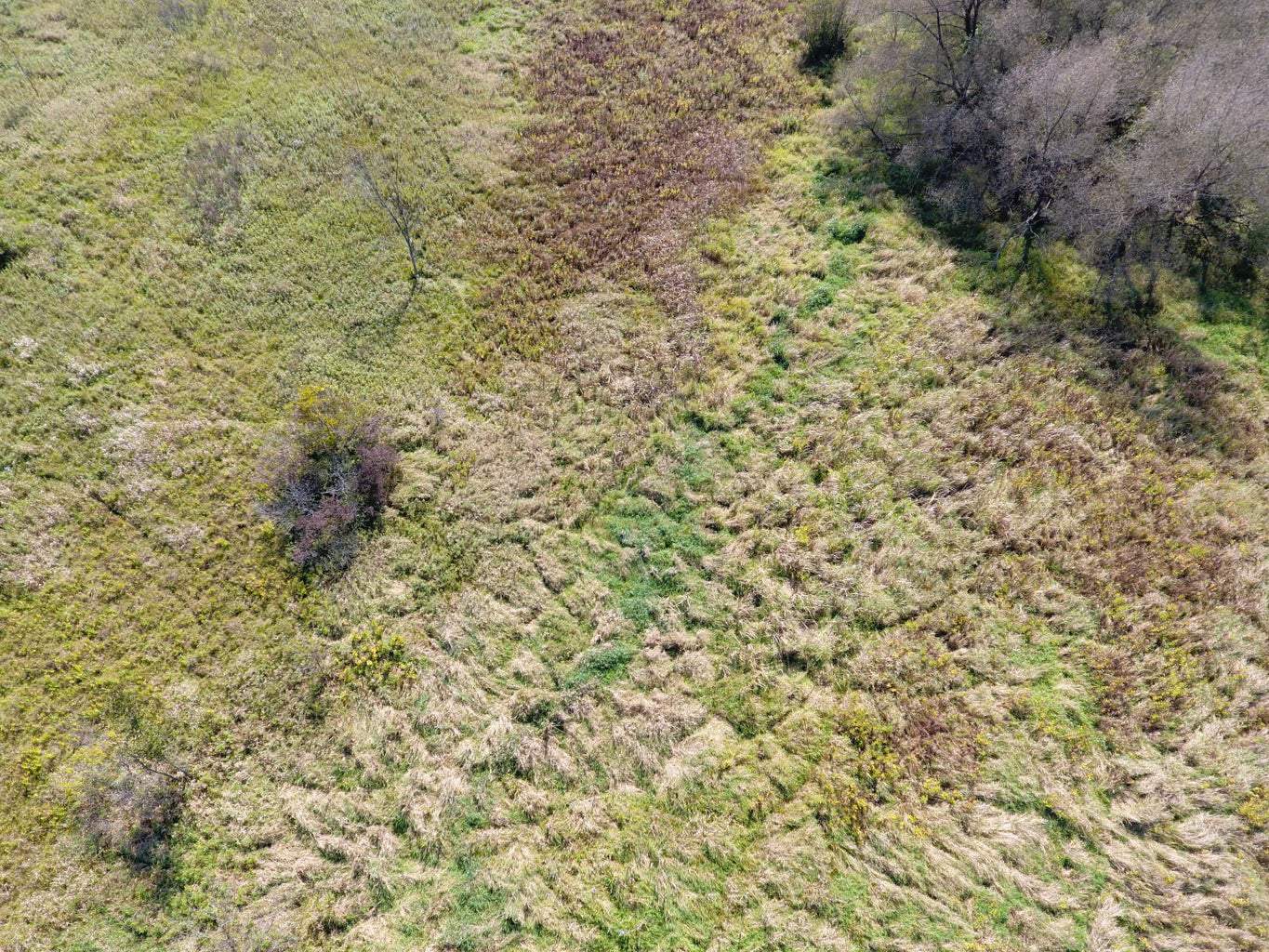 Land for sale with stream, crop ground, hunting, possible build site in WI