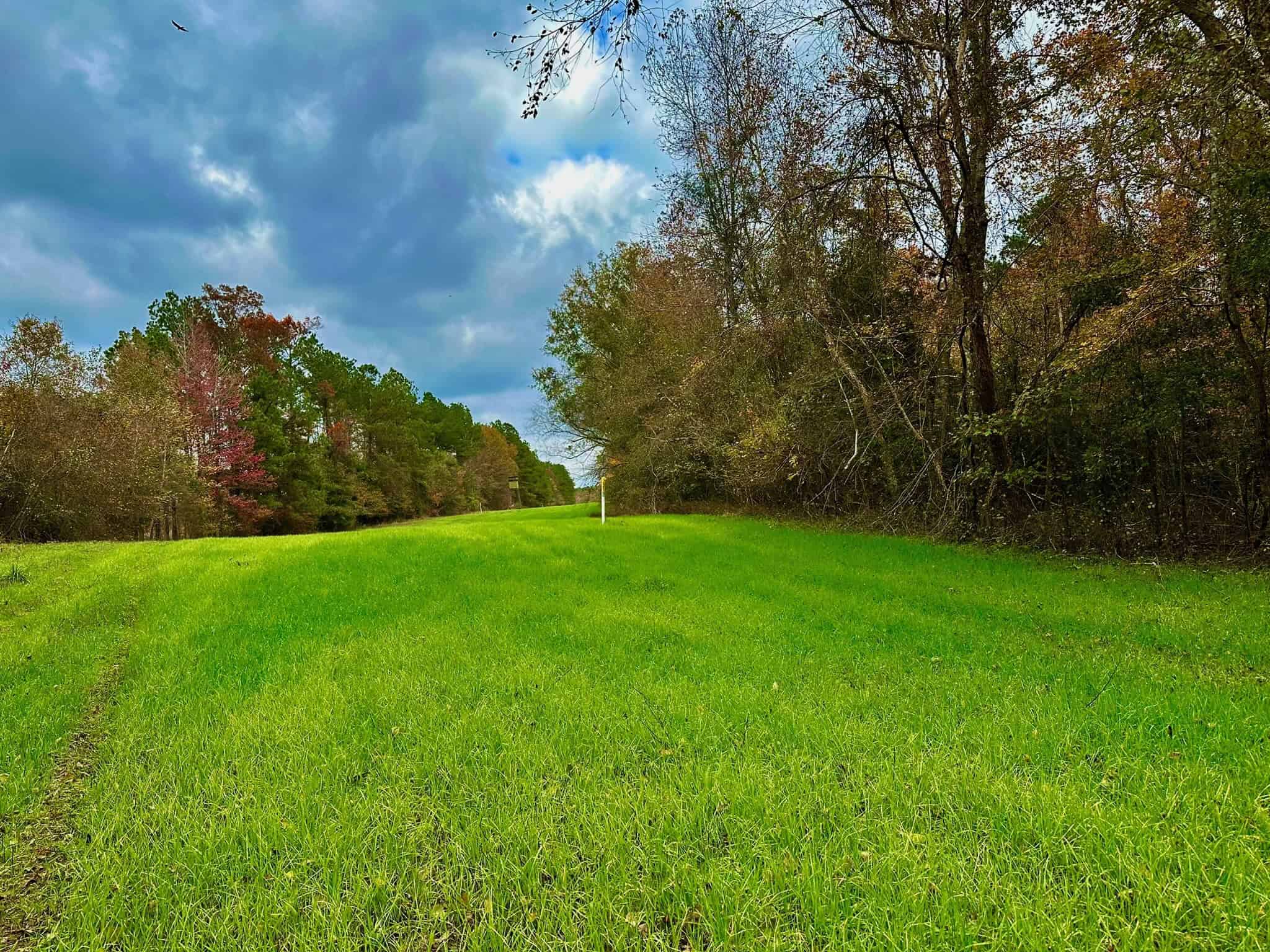 Duck and Deer Hunting Land for Sale with River Frontage