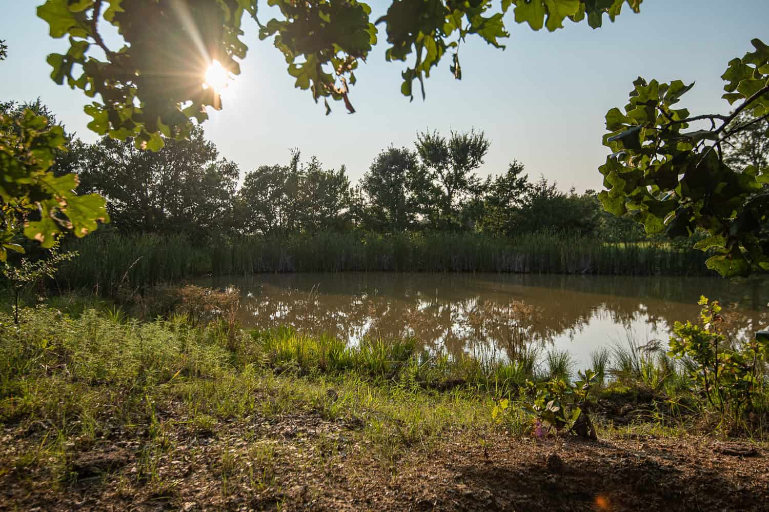 Premier Hunting & Cattle Ranch for Sale Near McAlester OK