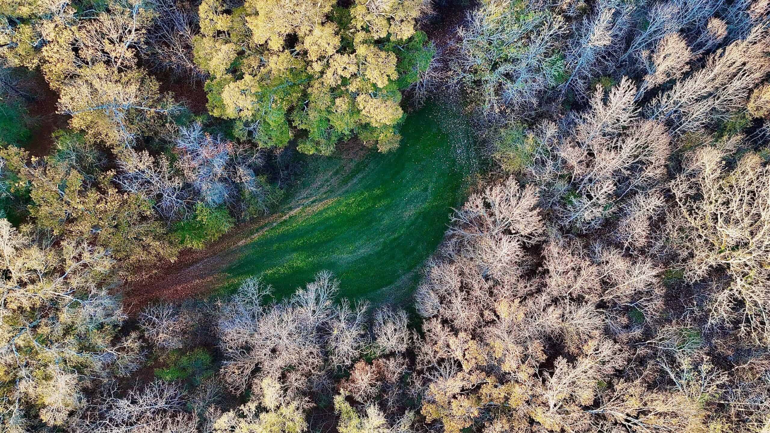 Duck and Deer Hunting Property for Sale in Grant Parish, LA