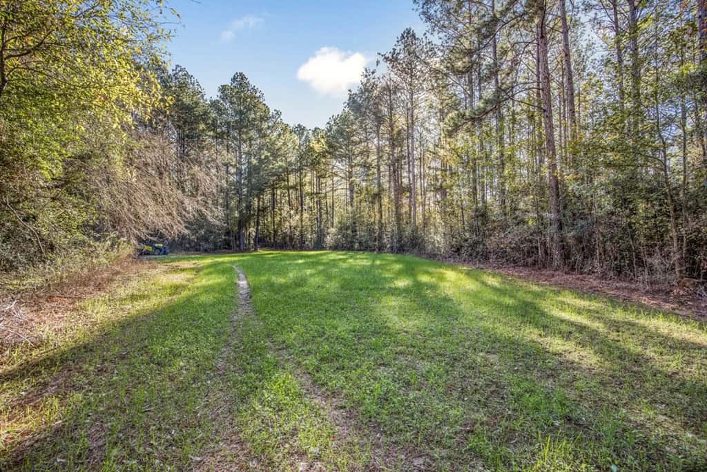 Land For Sale in Amite County, MS