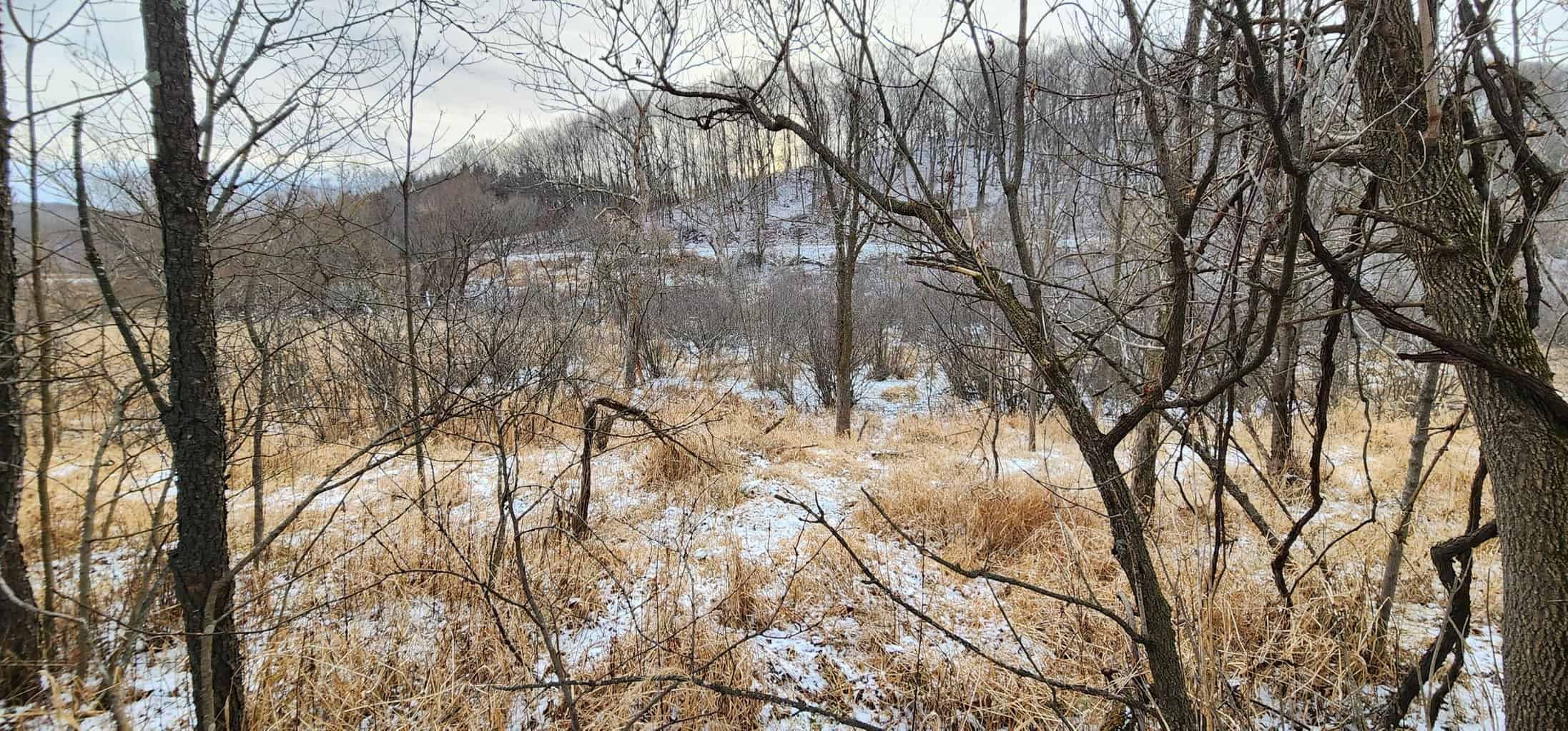 Land for sale with stream, crop ground, hunting, possible build site in WI