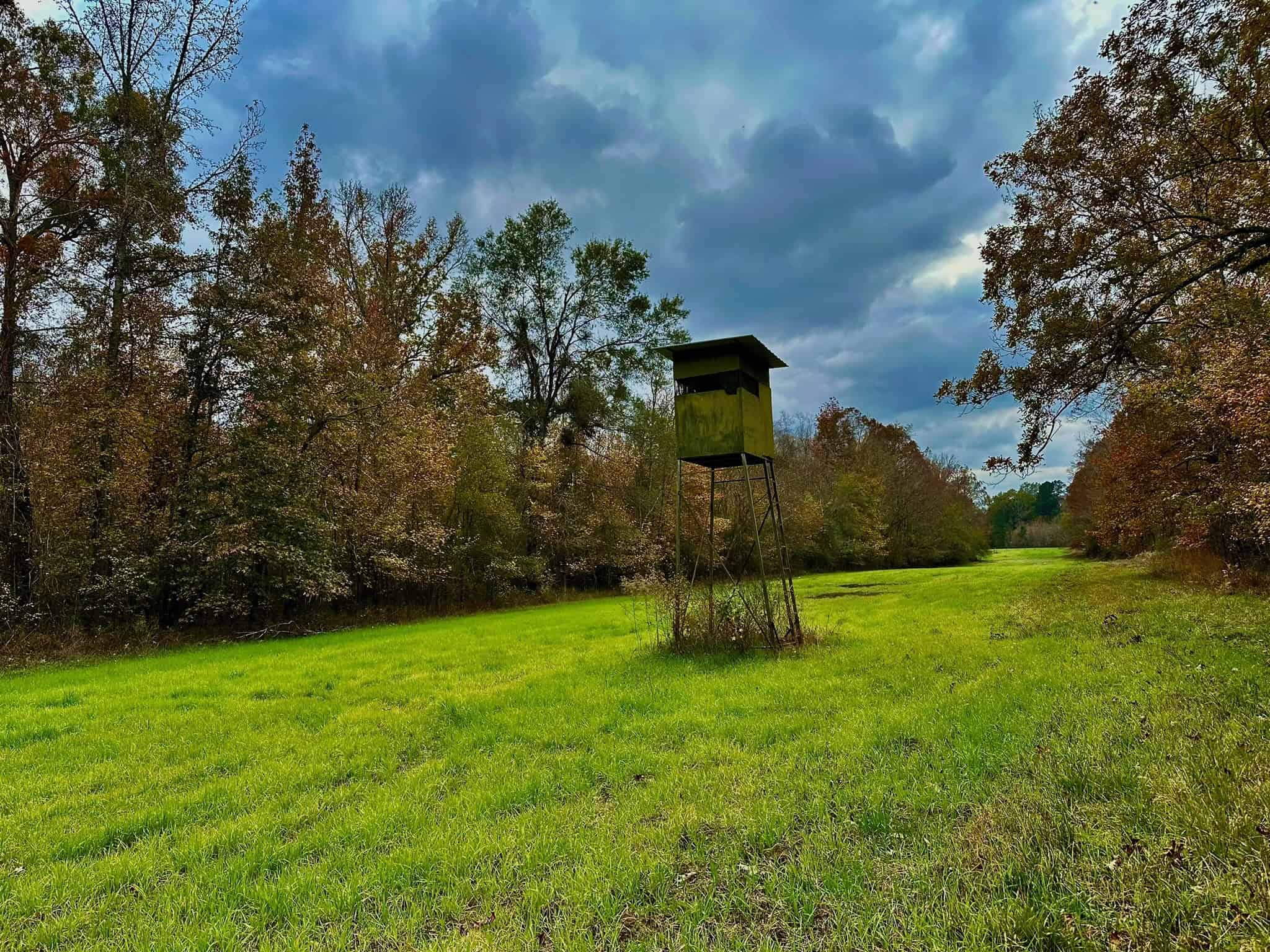 Duck and Deer Hunting Land for Sale with River Frontage