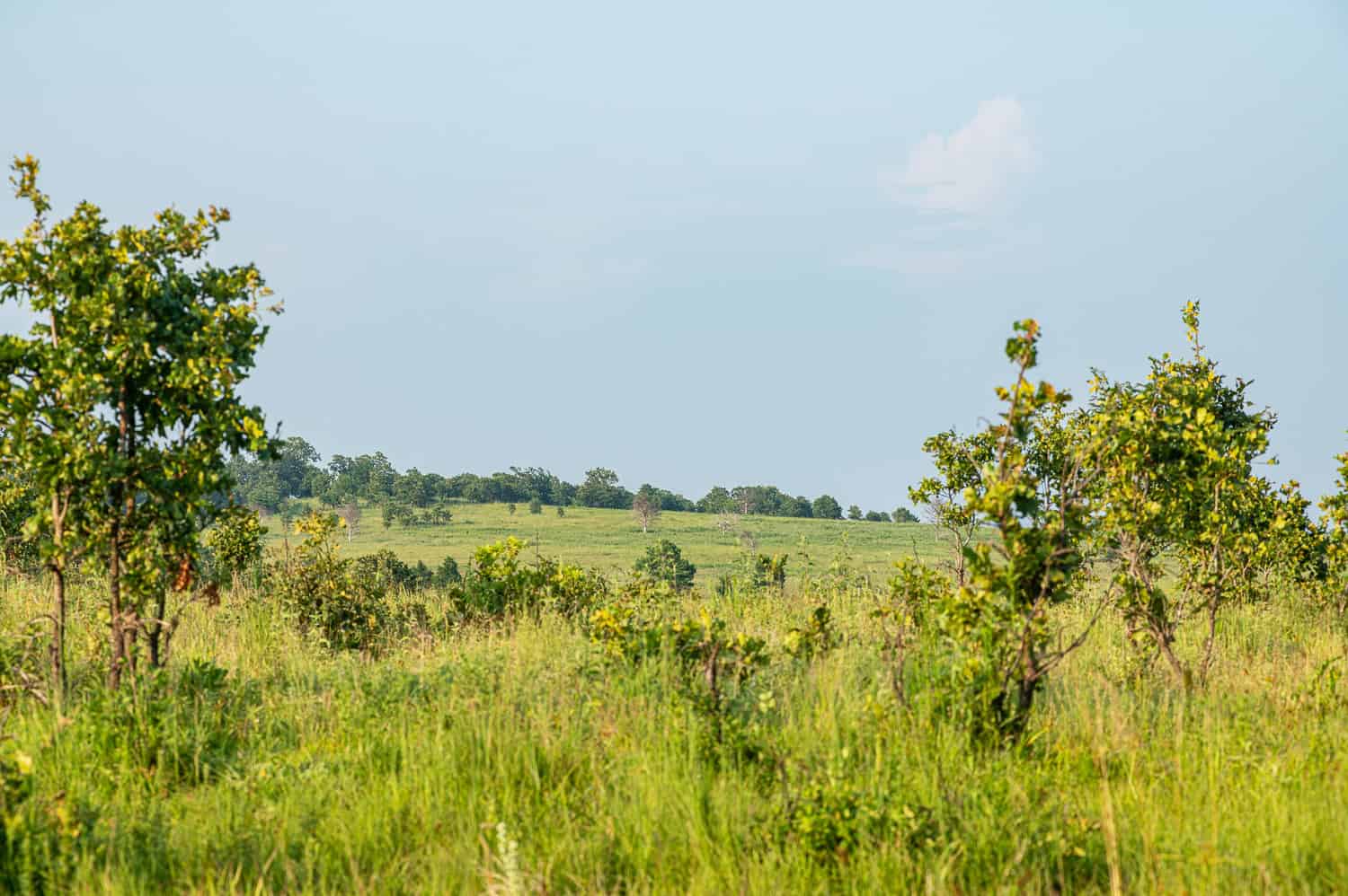 Premier Hunting & Cattle Ranch for Sale Near McAlester OK