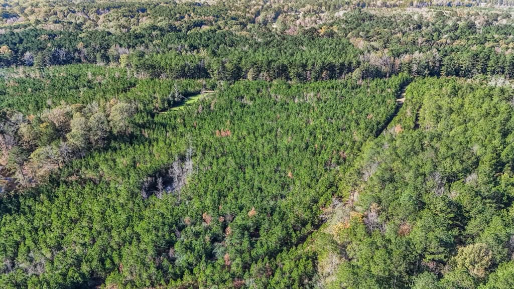 Land For Sale in Amite County, MS