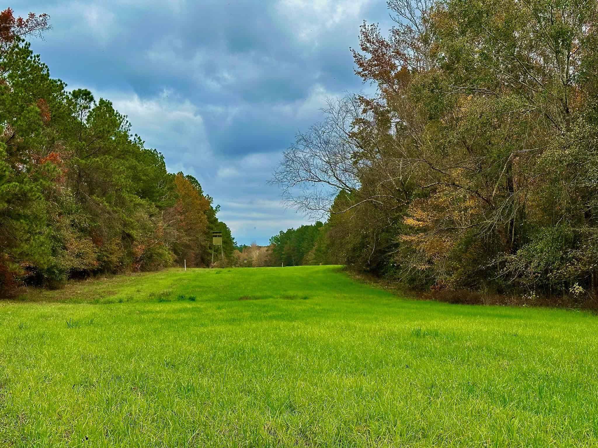 Duck and Deer Hunting Land for Sale with River Frontage