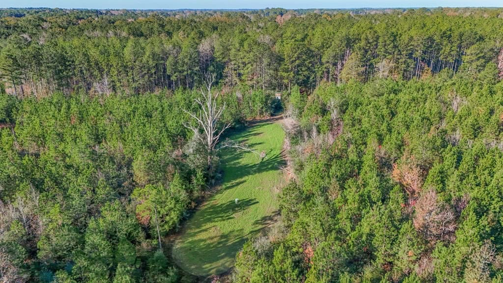 Land For Sale in Amite County, MS