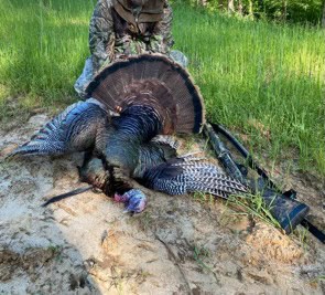 145 Acres Jefferson County Hunting Land Timber Investment