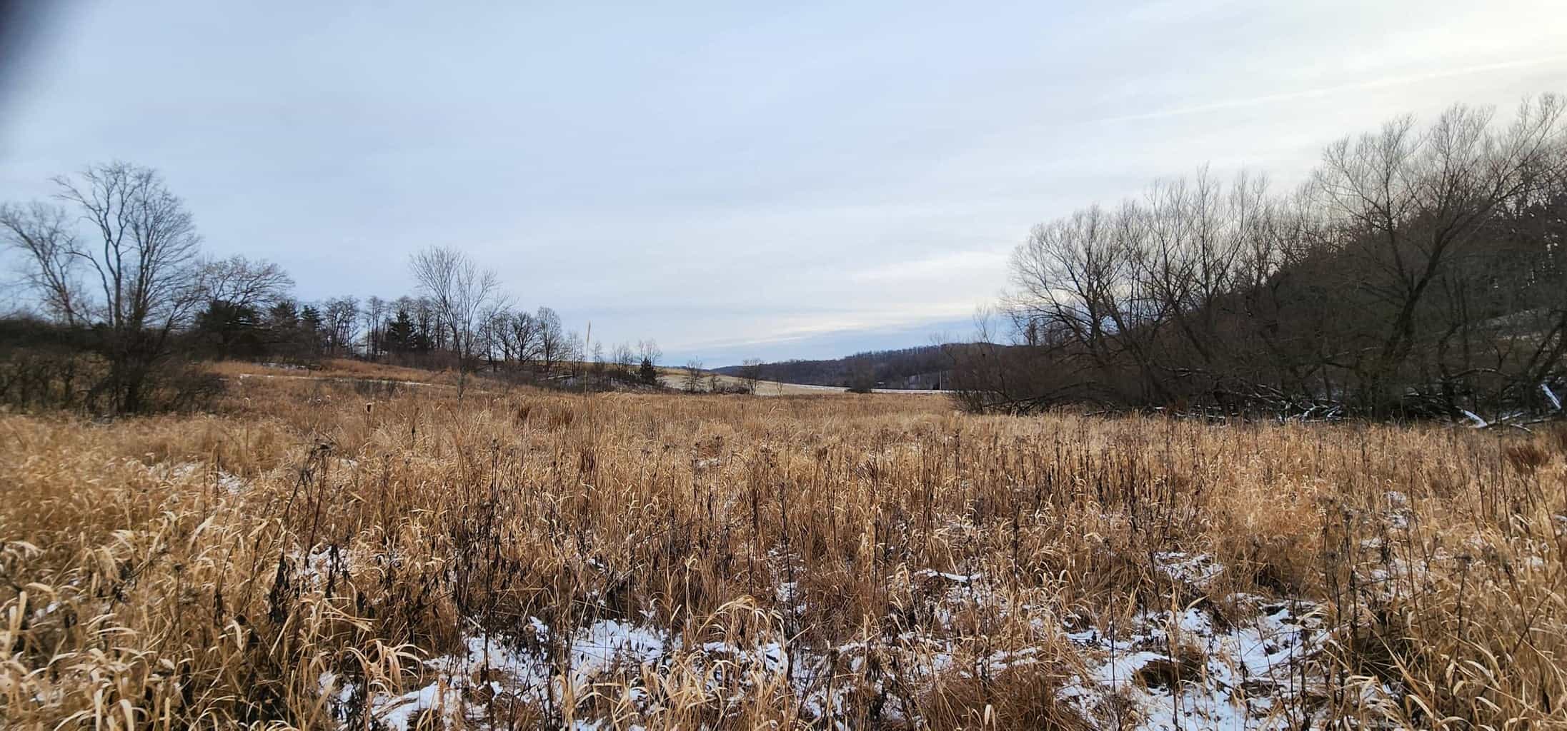 Land for sale with stream, crop ground, hunting, possible build site in WI