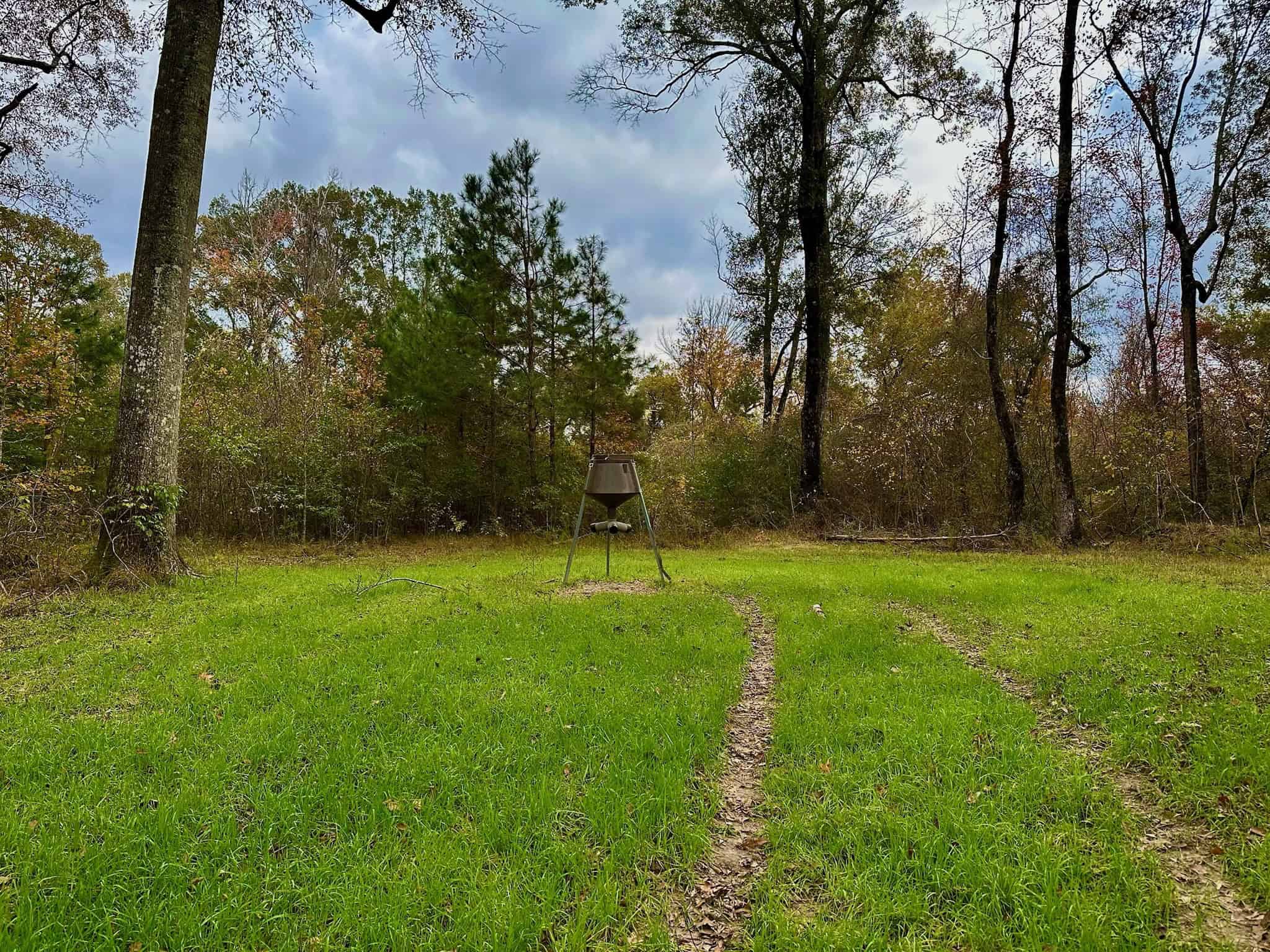 Duck and Deer Hunting Land for Sale with River Frontage