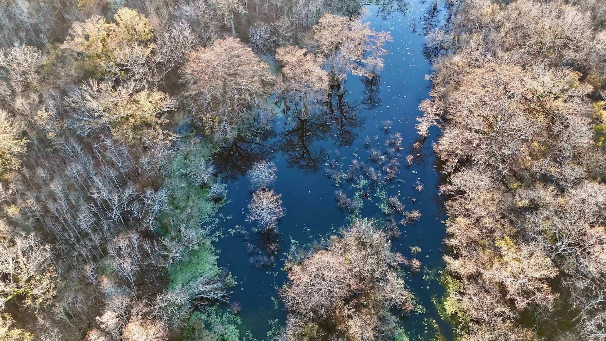 Duck and Deer Hunting Property for Sale in Grant Parish, LA