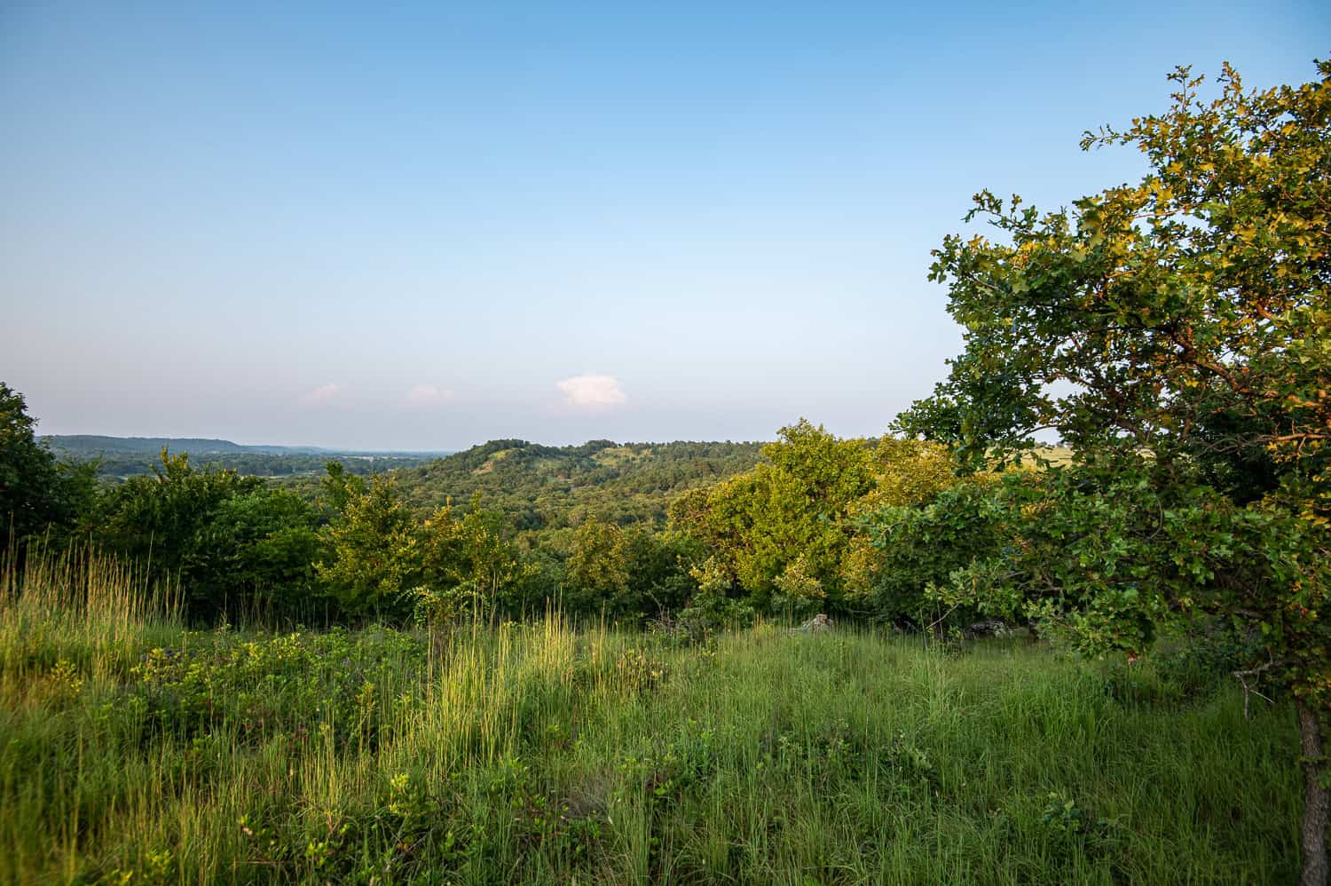 Premier Hunting & Cattle Ranch for Sale Near McAlester OK