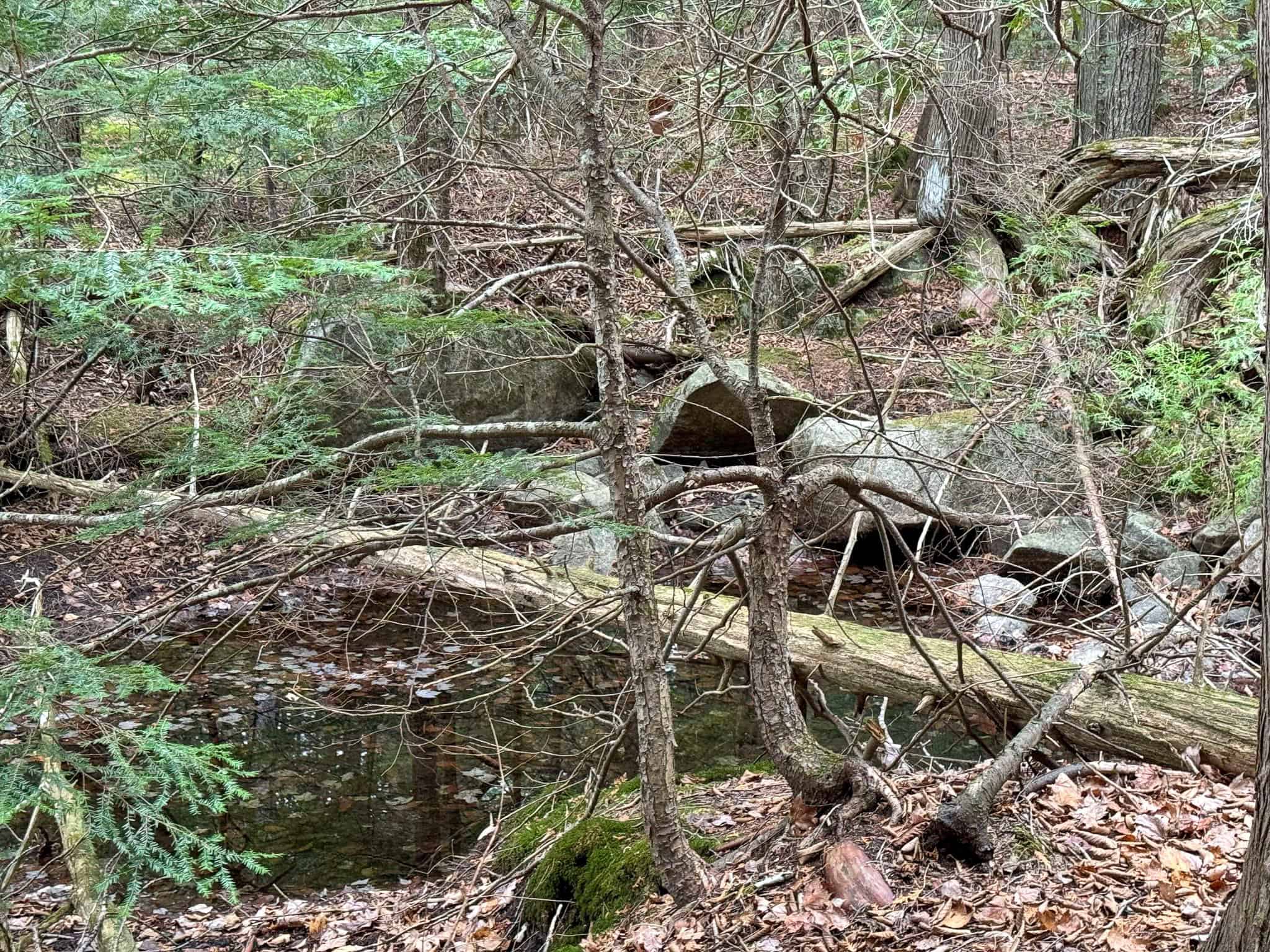 Lakefront Land with 41 Acres