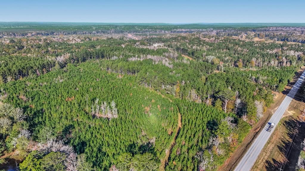 Land For Sale in Amite County, MS