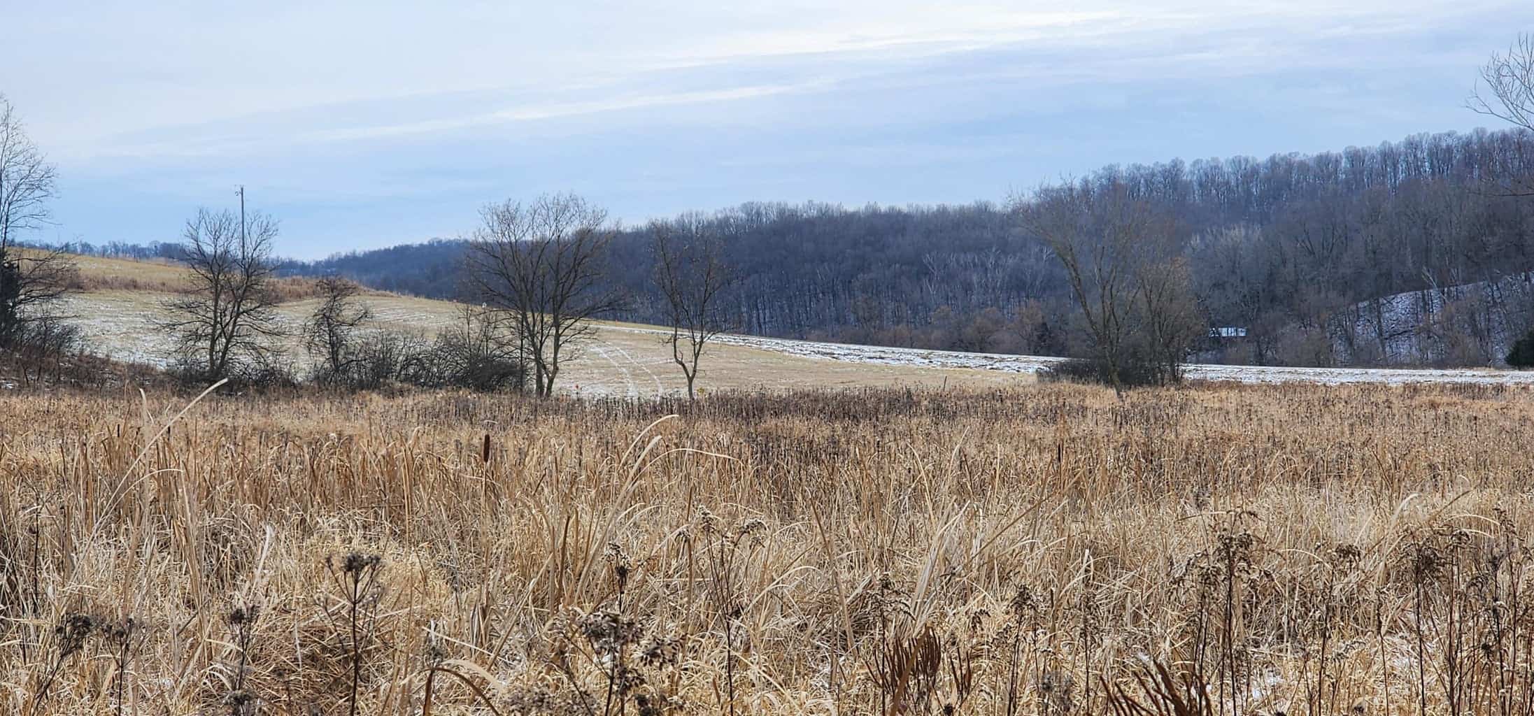 Land for sale with stream, crop ground, hunting, possible build site in WI