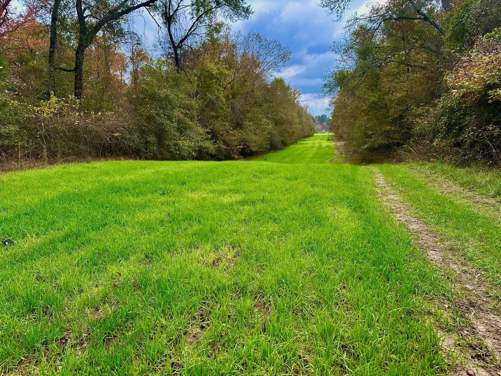 Duck and Deer Hunting Land for Sale with River Frontage