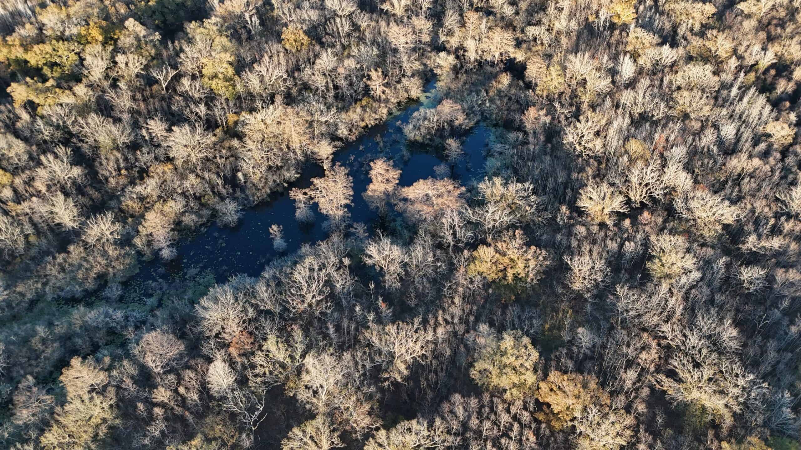 Duck and Deer Hunting Property for Sale in Grant Parish, LA